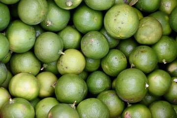 lime is a hybrid citrus fruit, which is typically round, lime green