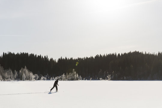 Skier in the middle of a snow-covered woods around the lake on a sunny day