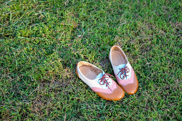 Fototapeta premium shoes on green summer grass in park.