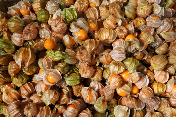 Gooseberry background texture