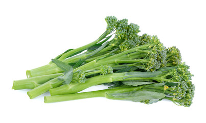 baby broccoli isolated on white background