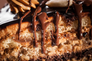 Homemade chocolate cake with walnut and poppy seeds.