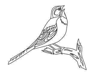 Little Bird Sparrow Stroke Picture