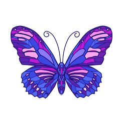 Vector illustration of color butterfly on white background