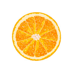 Fototapeta na wymiar Vector orange slice. Illustration of citrus