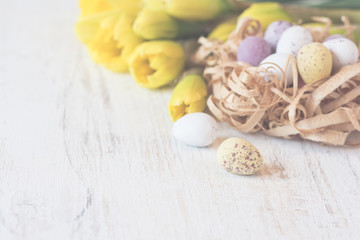 Coloured eggs in nest made from wood shavings close up, selective focus. Toned photo