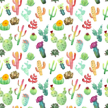 Watercolor cactus seamless pattern. Colorful vibrant cactus succulents