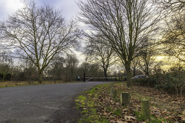 Obraz premium Sunset at a british park