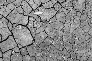 Abstract black and white crack soil texture background