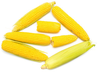 Corn with skin or without skin isolated on white background. A collection of corn. Top view, flat