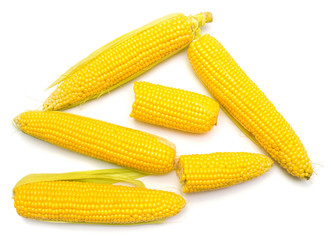 Corn with skin or without skin isolated on white background. A collection of corn. Top view, flat