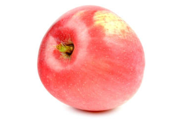 apple on a white background