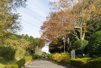 The footpath of Ashitaka Athletic Park