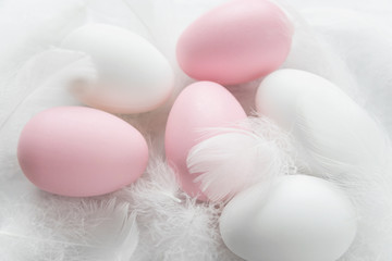 Easter eggs among fluffy fuzzes