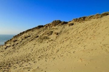 BEACH OF AMBLETEUSE , DUNES OF SLACK , FORT MAHON , PAS DE CALAIS , HAUTS DE FRANCE, FRANCE


