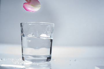 Water and petal