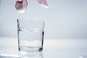 Water and petal