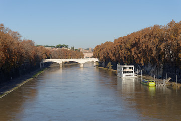 Fototapeta na wymiar Bridges along the Tiber, Rome