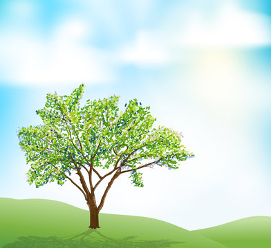 a tree on hill and blue sky with clouds illustration. vector