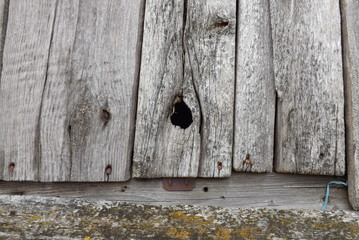 wooden