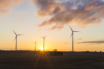 windmills at sunrise on a spring field