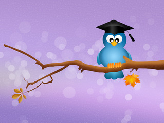 Fototapeta premium bird graduate