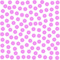 pink flowers. purple floret. abstract petals. white background. vector illustration