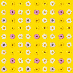 Cute Seamless Photographic Flower Pattern, Daisies on Yellow Background