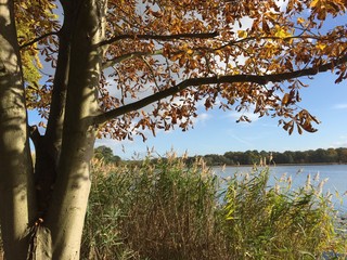 Natur Idylle auf dem Land mit Wasser, Wald