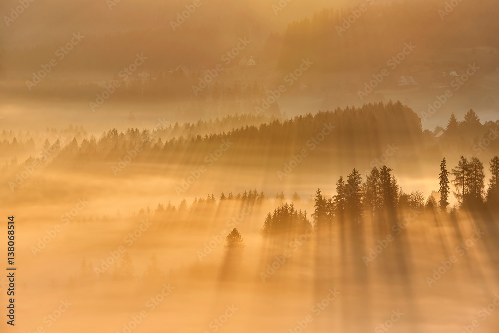 Wall mural beautiful autumn woods landscape taken in polish beskidy mountain, rays and amazing inversion, ochod