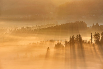Beautiful autumn woods landscape taken in polish Beskidy mountain, rays and amazing inversion,...