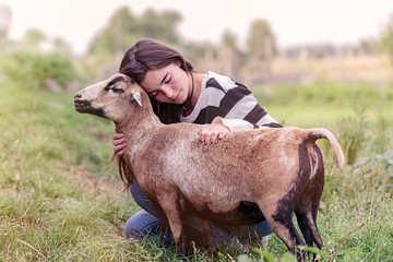 woman is stroking a brown sheep