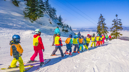 People practicing ski in Poiana Brasov, Romania - obrazy, fototapety, plakaty