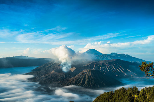 bromo