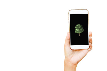 hand phone on white background
