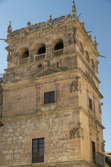 Obraz premium Salamanca (Spain): historic Monterrey Palace