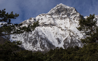 Montagna Innevata in Cornice di Pini