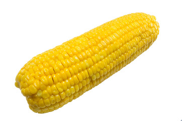 Corn