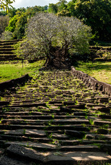 Wat Phu in Southern Laos