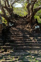 Wat Phu in Southern Laos
