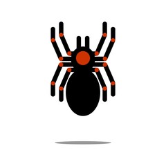 Tarantula vector icon