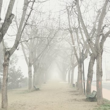 Misty landscape. Picture taked with iphone 7 Plus