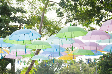 Umbrella variety of colors