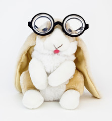 Floppy-eared toy bunny rabbit wearing silly fun glasses.