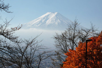 Mt Fuji in autumn season