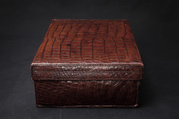 crocodile suits case