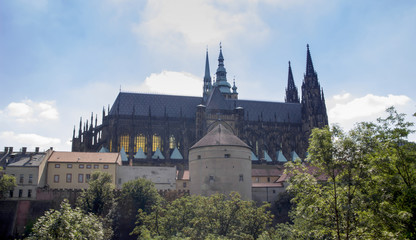 Fototapeta premium Prague Castle and Saint Vitus Cathedral at sunny summer day, Czech Republic