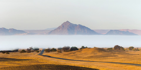 Obraz premium Fog over the tarred road crossing the Namib desert in Sossusvlei, Namib Naukluft National Park, in the misty morning.