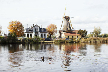 windmill in Rotterdam