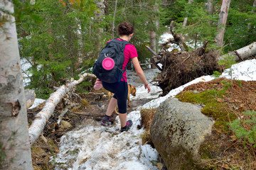 Randonnée pédestre en montagne (Adirondack)